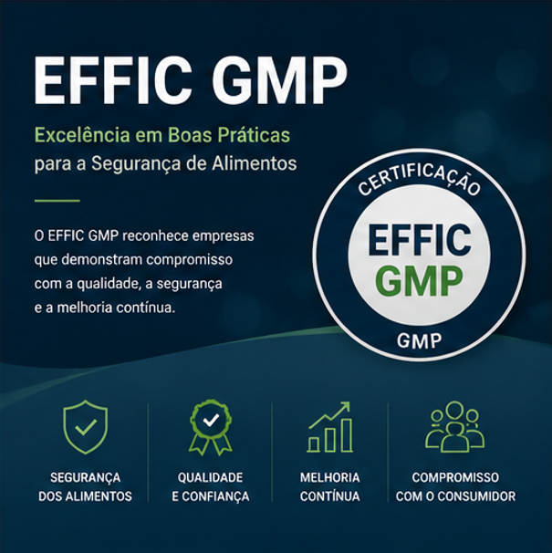 EFFCI GMP